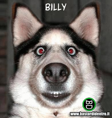 Billy.jpg