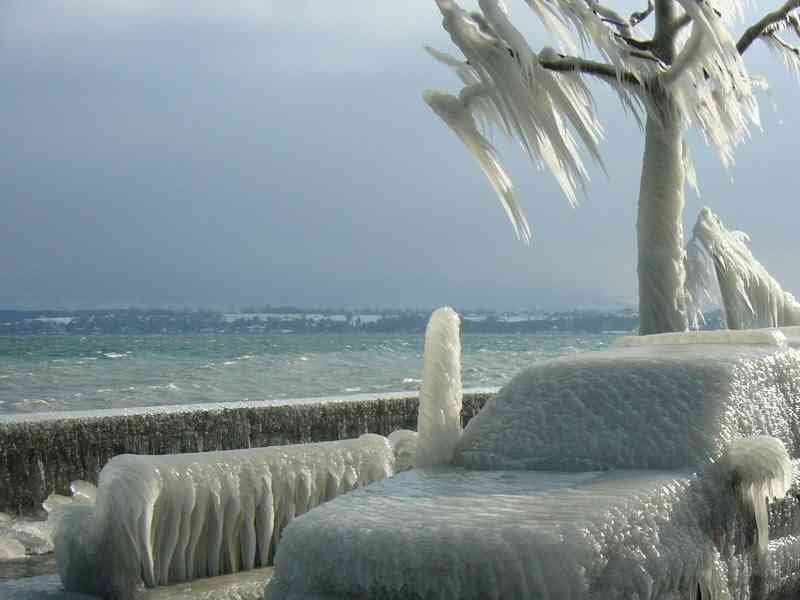 Winter.jpg